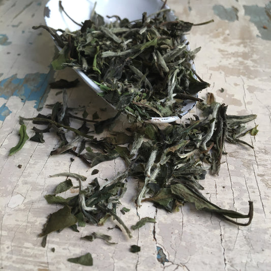 Pai Mu Tan biely čaj - 50 g